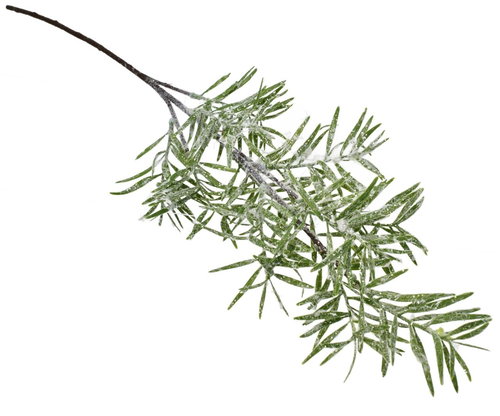 DOMMIO Christmas decoration - green branch with rhubarb, 70 cm - Christmas Decoration - Main image