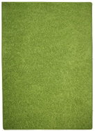 Kusový koberec Color shaggy zelený 80 × 120 cm - Koberec
