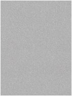 Kusový koberec Nasty 101595 Silber - Koberec