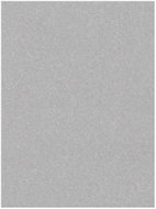 Kusový koberec Nasty 101595 Silber 160 × 240 cm - Koberec