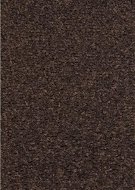 Kusový koberec Nasty 101154 Braun - Koberec