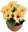 Light orange 7 flowers in terracotta bowl, diameter 22/24 cm