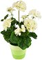 DOMMIO Muškát v keramickém květináči 40 × 25 cm krémový - Umělá květina