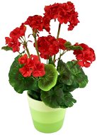 DOMMIO Muškát v keramickém květináči 40 × 25 cm červený  - Umělá květina