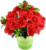 DOMMIO Azalka v keramickém květináči 25 × 25 cm červená  - Umělá květina