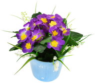 DOMMIO Primula lila, kerámia cserépben 20 × 19 cm - Művirág