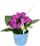 DOMMIO Krókusz lila,kerámia cserépben, 24 × 27 cm - Művirág