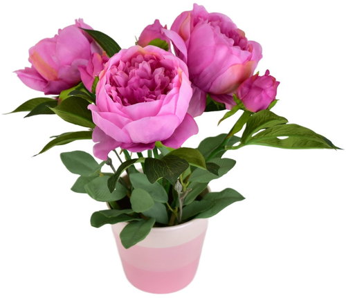 BerryHome Peonies purple 6 flowers in ceramic pot 36 × 30 cm - Artificial Flower - Main image