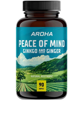 Aroha Ginkgo & Ginger 90 capsules - Ginkgo Biloba - Main image
