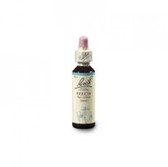 Dr. Bach Original Beech 20 ml - Dietary Supplement