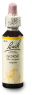 Dr. Bach Original Gorse 20 ml - Dietary Supplement