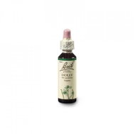 Dr. Bach Original Holly 20 ml - Dietary Supplement