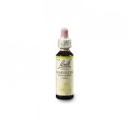 Dr. Bach Original Honeysuckle 20 ml - Dietary Supplement