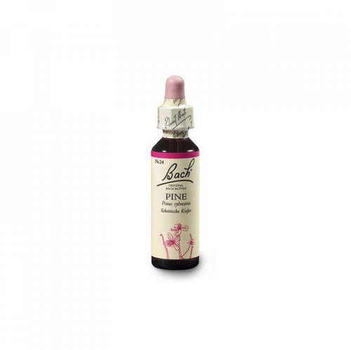 Dr. Bach Original Pine 20 ml - Dietary Supplement - Main image