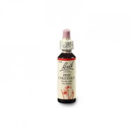 Dr. Bach Original Red Chestnut 20 ml - Dietary Supplement