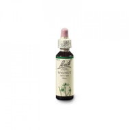 Dr. Bach Original Walnut 20 ml - Dietary Supplement