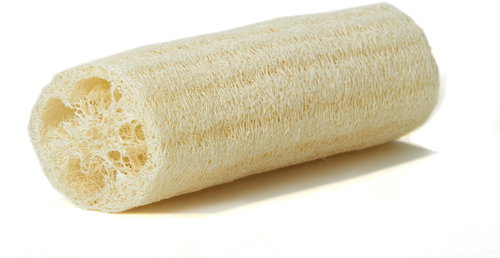 ADONIS Lufa 8 - 21 cm - Luffa - Main image