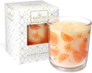 Luxury candle Santini - Spiced Orange Apple, 200g - Candle