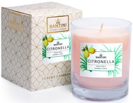 Luxury candle Santini - Citronella, 200g - Candle