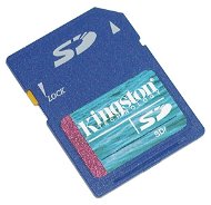 Kingston Secure Digital 256MB - Memory Card