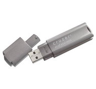 SanDisk Cruzer Professional 1GB - Flash Drive