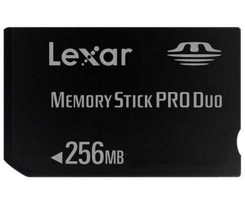 LEXAR Memory Stick PRO DUO 256MB Platinum 40x - Memory Card - Main image