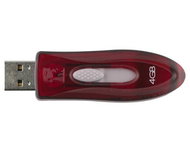 USB flash disk Kingston DataTraveler 110 4GB - Flash Drive