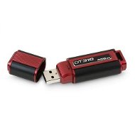 Kingston DataTraveler 310 256GB - USB kľúč