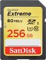 SanDisk Extreme SDXC 256 GB Class 10 UHS-I (U3) - Speicherkarte