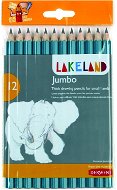 DERWENT Lakeland Jumbo Graphite HB, hexagonal - pack of 12 - Pencil