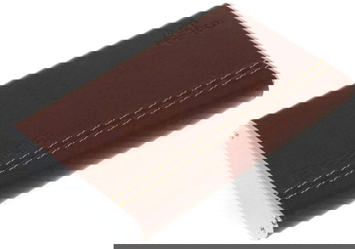 Prestigio 2.5" Data Safe I 500GB Brown - External Hard Drive - Main image