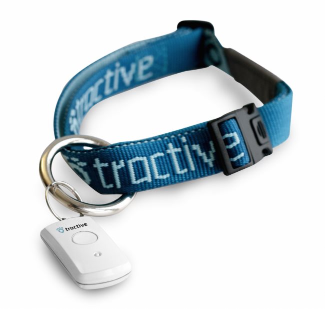 Tractive hot sale pet remote