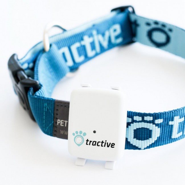 Tractive collar hotsell