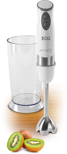  ECG RM 994  - Hand Blender - Main image