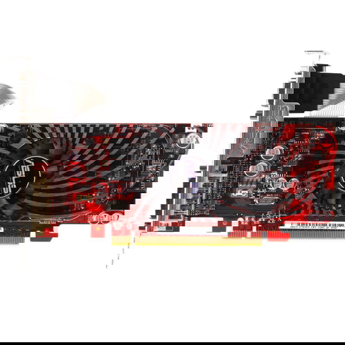 ASUS EAH5570/DI/1GD3(LP) - Graphics Card - Main image