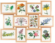 Edaxo Multirám na 12 fotek Fines, fotorámeček koláž 45 × 59 cm - Photo Frame