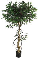 EDENIA Fíkus na krouceném kmeni, výška 150 cm, v květináči průměr 15,2 cm, do interiéru - Artificial Tree