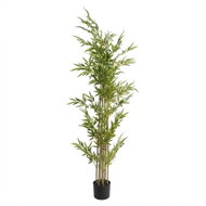 EDENIA Bambus, výška 160 cm, v květináči průměr 15,2 cm, do interiéru - Artificial Tree