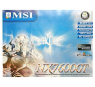 MSI MS-V801 (NX7600GT-T2D256E) NVIDIA GeForce nx7600GT 256 MB DDR3 PCIe x16 SLi 2xDVI - Graphics Card