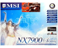 MSI MS-V801 (NX7900GT-T2D256E) NVIDIA GeForce nx7900GT 256 MB DDR3 PCIe x16 SLi 2xDVI - Graphics Card