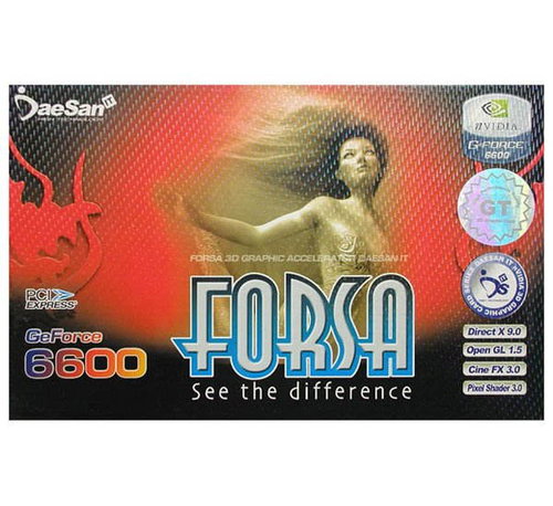FORSA NVIDIA GeForce 6600GT, 128MB DDR, PCIe x16 DVI - Graphics Card - Main image