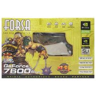 FORSA NVIDIA GeForce 7600GT, 256MB DDR3, PCIe x16 SLi DVI - Grafická karta
