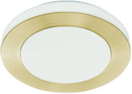 Eglo LED CARPI - Ceiling Light