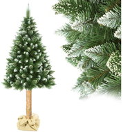Donoci Christmas tree on trunk 180 × 90 cm pine, white ends, conical shape - Christmas Tree