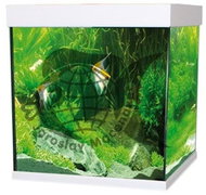 EHEIM Scubacube 270 with lighting, white, 270 l - Aquarium