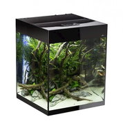 AQUAEL Glossy Cube D&N, 135 l, black - Aquarium