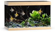 JUWEL Rio 290 LED, light brown - Aquarium