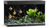 JUWEL Rio 290 LED, black - Aquarium