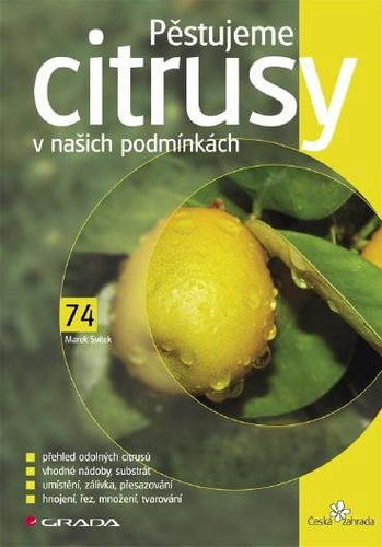 Pěstujeme citrusy v našich podmínkách - Elektronická kniha - Hlavní obrázek
