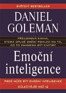 Emoční inteligence - Elektronická kniha
